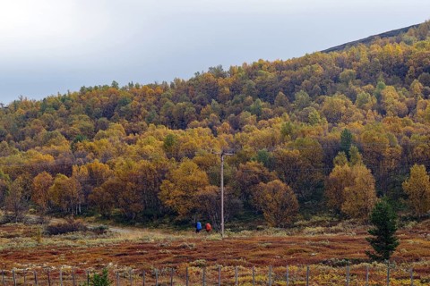 Hilly landscape with colourful autumn forests and two people in the distance, pilgrimage route,