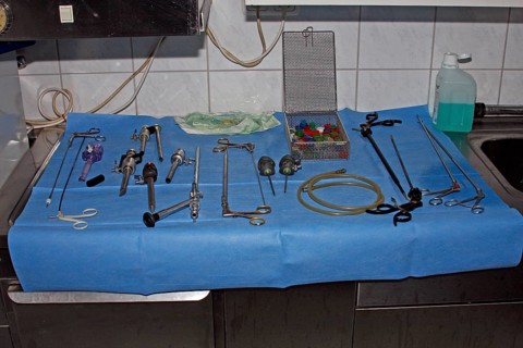 Vet, castration of a dog, male dog, surgical instruments