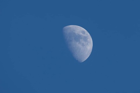 The moon at the waxing gibbous stage in the evening sky, England, United Kingdom, Europe