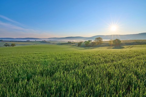 A picturesque sunrise over a wide green field and a gentle hilly landscape, Mönchberg, Mltenberg,