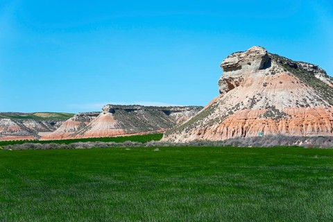 Rock formations rise out of a green meadow under a clear blue sky, Bardenas Reales Natural Park,
