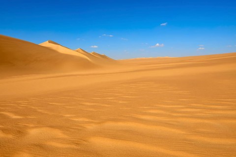 Endless sand dunes under a clear blue sky with few clouds, Matruh, Great Sand Sea, Libyan Desert,
