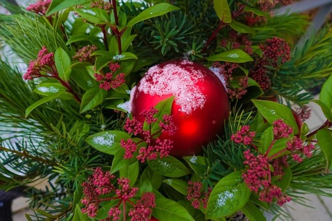 Christmas motif, Christmas, Christmas, Christmas festival, Advent season, Christmas baubles,