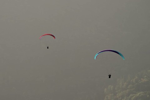 Two paragliders flying over the forest, Alsace, France, Europe