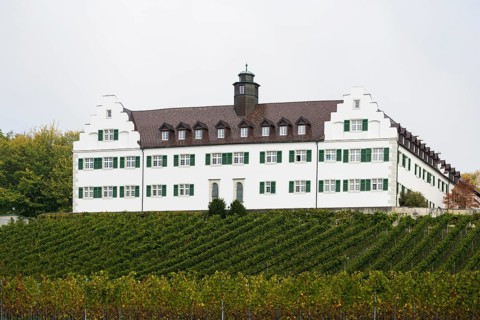 Hersberg Castle with vineyard, Immenstaad, Lake Constance, Baden-Württemberg, Germany, Europe