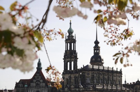 Dresden in spring, blossom of the ornamental cherry, view to the Hofkirche, Saxony, Germany, Europe