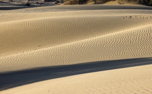 Maspalomas Dunes nature reserve, sand dunes in the evening light, Las Palmas province, Gran
