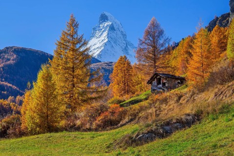 Autumn landscape with Matterhorn 4478m and golden yellow larches, Zermatt, Mattertal, Valais,