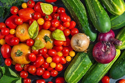 Varied arrangement of tomatoes (Solanum lycopersicum), cucumbers (Cucumis sativus), red and yellow