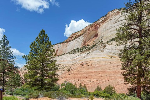Blind arch on the side of a rock formation in the Checkerboard Mesa area of Zion National Park,