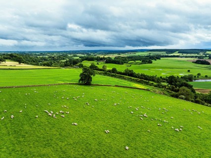 Farms and Fields over River Eden and River Eamont from a drone, Cumbria, England, United Kingdom,