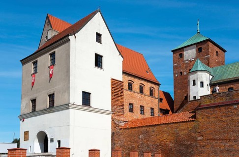 Medieval castle with red-tiled roofs and towers under a clear blue sky, museum, residential castle