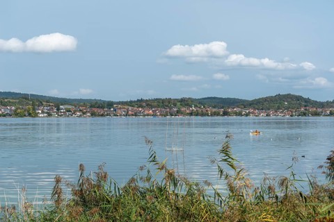 Niederzell, Reichenau Island, Lake Constance, view of Bodanrück peninsula, reed shore,