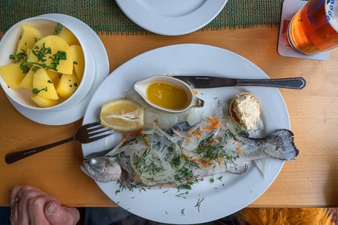 Blue trout (Salmo trutta) with Potato, butter and horseradish, served in a pub, Franconia, Bavaria,