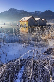Boat huts, icy shore, lake, morning light, fog, snow, winter, mountains, Lake Kochel, Schlehdorf,