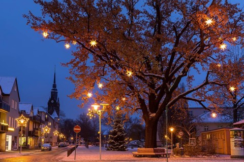 Oak tree on the snow-covered Wettinplatz with Herrnhut stars, star tree, in the background the New