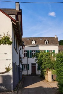 Residential area, residential houses, bushes, Noble vine (Vitis vinifera), blue sky with fair