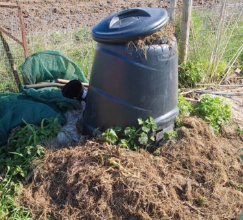 Compost bin decomposing plants in allotment garden, UK