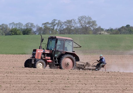 Tractor dragging a plume of dust behind it while working a potato field, Münchenberge, 20/05/2020