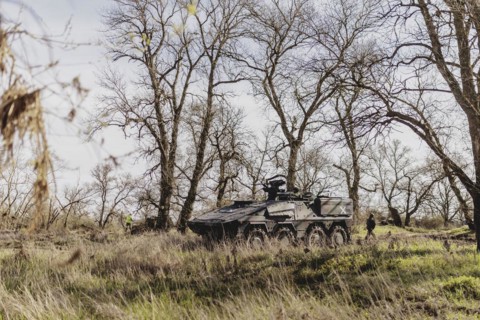 Armoured Boxer transport vehicle of the German Armed Forces stands in a forest on the Elbe as part