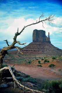 Monument Valley, Navajo Land, Colorado Plateau, under Navajo administration, Utah, USA, North