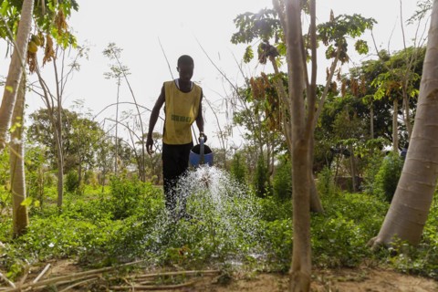 Watering of fields by farmers during organic farming at the agroecological training centre Centre