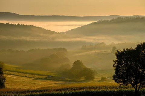 Morning fog over the Werra valley, Weißenborn near Eschwege, Werra-Meißner district, Werra valley,