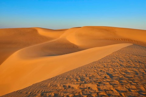 Soft, undulating sand dunes in the desert under a clear blue sky in the light of sunset, Matruh,
