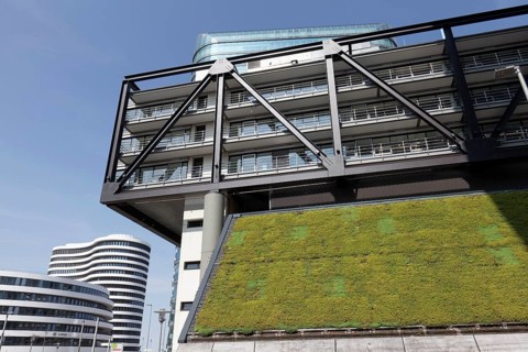 Green façade on the PEC office building, cloud bow, planting to improve the climate, Düsseldorf