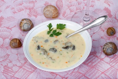 Baden cuisine, snail soup, typical Baden, vineyard snail shell, snail shells, parsley, spoon, soup