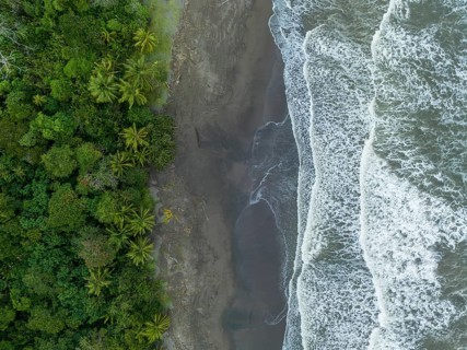 Top-down, aerial view, beach and sea, coast with rainforest, Tortuguero National Park, Costa Rica,