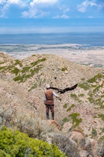 Traditional Kyrgyz eagle hunter hunting in the mountains in a dry landscape, near Kysyl-Suu, Issyk