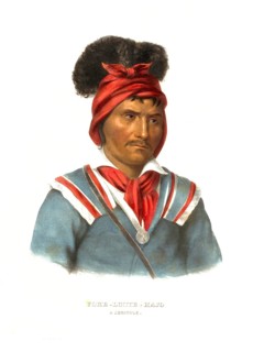American Indian, Native American, Foke-Luste-Hajo, a Seminole chief, United States of America, USA,