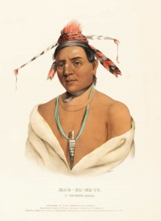 Mar-Ko-Me-Te, A Menomene Brave (1838), Native American, Historical Native American tribes from