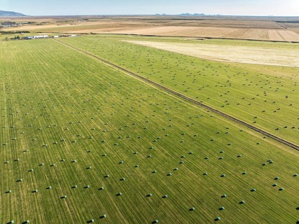 Meadow full of colored hay bales, aerial view, southern coast, Iceland, Europe
