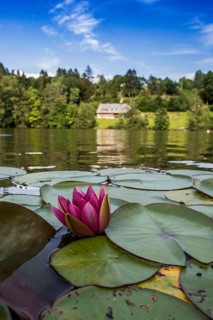 Klosterweiher, Dachsberg, Hotzenwald, Southern Black Forest, Black Forest, Baden-Württemberg,