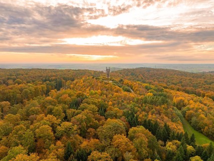 Sweeping view over autumn forest under a cloudy sky with horizon, Schönbuchturm, Herrenberg,