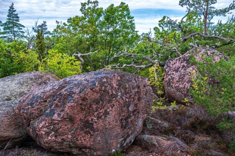 Granite rocks and vegetation on the Blue Maiden (Bla Jungfrun), an island and national park in