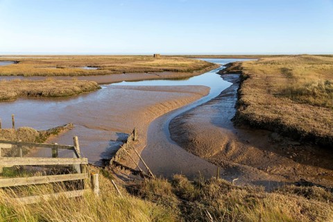 Landscape mudfats saltings tributary of River Ore low tide, Orford Ness spit, North Sea, Suffolk,