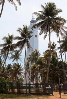 Dondra Head Lighthouse or lighthouse in coconut trees, Dondra, Southern Province, Sri Lanka, Asia