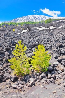 View of lava fields and snow-capped peaks in the distance, Etna, Sicily, Italy, Europe