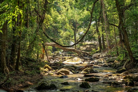 The Mae Klang River on the Pha Dok Sieo Nature Trail in Doi Inthanon National Park, Chiang Mai,