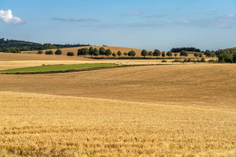 Landscape on the island of Mön, Denmark, Europe