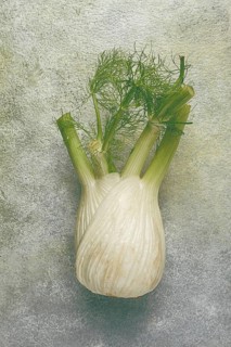 Fennel, bulb, dill root, fresh, top view