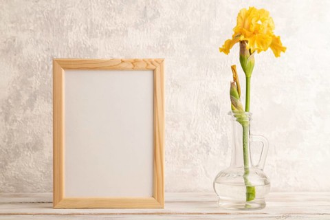 Wooden frame with yellow iris flower in glass on gray concrete background. side view, copy space,