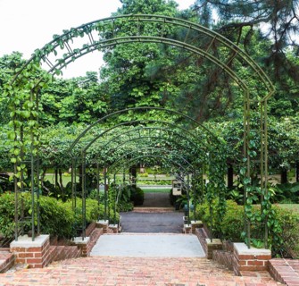 Arches with plants in the Botanic Garden of Singapore