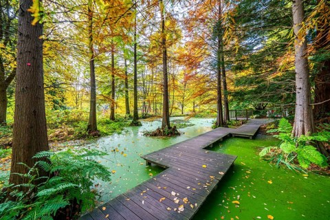 The Botanical Garden of the Ruhr University Bochum, in the district of Bochum-Querenburg, North