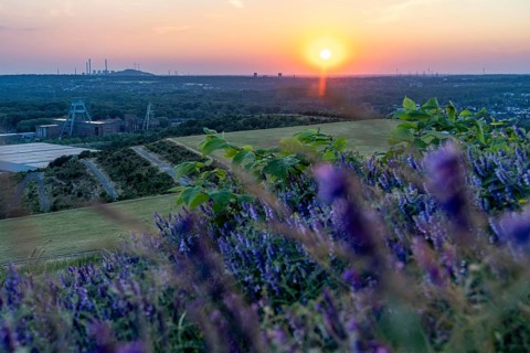 View from the Hoheward spoil tip, at sunset, to the west, Ewald mine, UNIPER Scholven combined heat