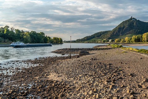 The Rhine at extremely low water, near Bad Honnef Rhöndorf, below the Drachenfels, Nonnenwerth