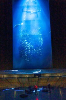 Plante Ozean exhibition in the Gasometer in Oberhausen, the world's oceans in their fragile beauty